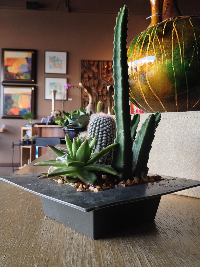 A cactus and other plants in a planter on the table.